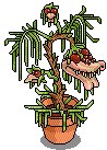 Bestand:Monsterplant gif.png