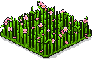 Bestand:Sakura patch.png