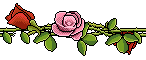 Bestand:Val roses horizontal 001.png