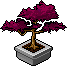 Bestand:Emberleaf bonsai.png