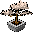Bestand:Moonleaf bonsai.png