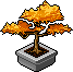 Bestand:Maple bonsai.png