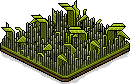 Bestand:Habboween grass.png
