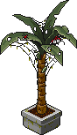 Bestand:Yowling yukka plant.png
