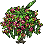 Bestand:Lt c26 dragonfruit.png