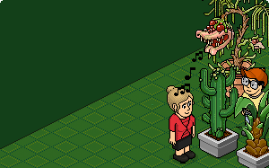 Bestand:TopStory Floristeria2.gif