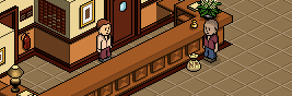 Bestand:Neopoint Bag1.png