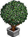 Bestand:Green office plant.png