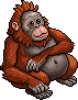 Bestand:Jungle ltd16 orangutan.gif