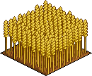 Bestand:Country wheat.png