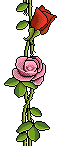 Bestand:Val sticker rosewire vert.png