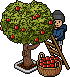 Bestand:Gardening1.png