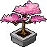 Bestand:Cherry blossom bonsai.png