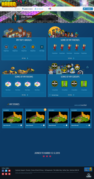 Bestand:Website2.png