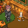 Pumpkin Candle Holder GIF